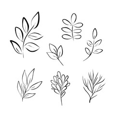 Leaves simple outline vector minimalist concept illustration, thin line hand drawn floral set, elements for design