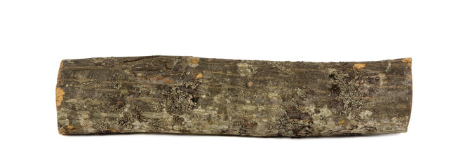 Wooden hornbeam log isolated on white background close-up