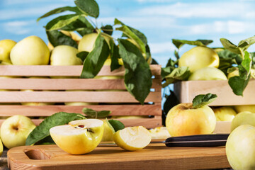 Juicy fresh yellow apples in wooden boxes, sliced pieces on board on blue background