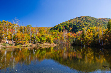 秋の乗鞍高原　まいめの池