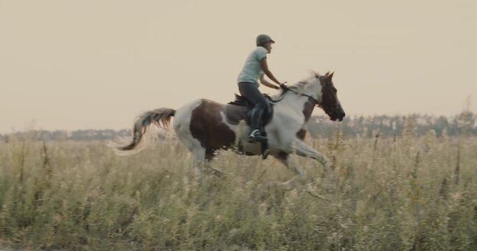 Woman riding a horse in background sunshine in field. Young cowgirl at brown horse in slow motion outdoors