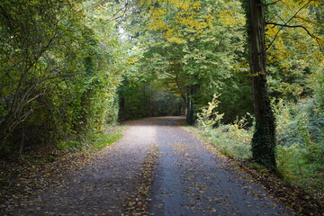 Berliner Mauerweg am Wannsee im Herbst