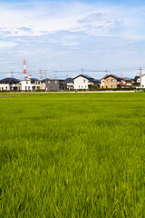 Obraz premium ソーラーパネルの付いた住宅地