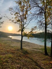 sunset over the river in the forest behind a tree