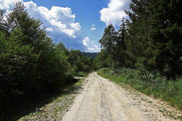 Fototapeta na wymiar Gravel dirt road. It leads through a lush green forest. In the background you can see forested mountains and blue clear skies with light clouds