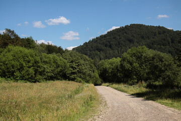 Gravel dirt road. It leads through a lush green forest. In the background you can see forested mountains and blue clear skies with light clouds