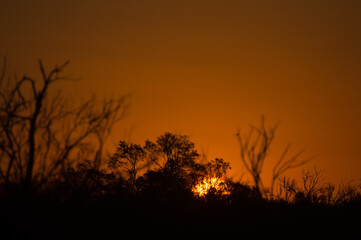 Amanecer
