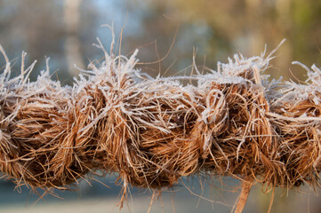 dickes Seil im Frost