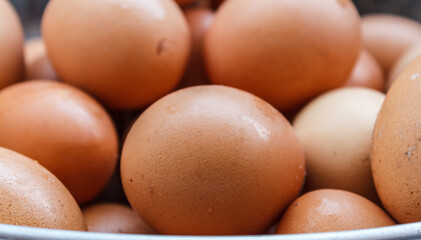 Fresh eggs in a nest photos near closeup