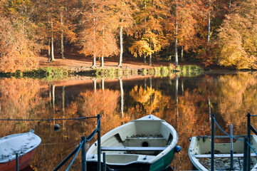 Herbstfärbung am See