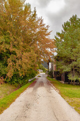 Sidewalk in the mountains after rain in the evening. Tatras Slovakia