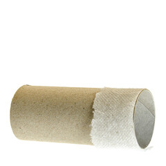 Empty toilet paper cardboard isolated on white. Deficits
