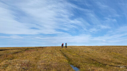 Fototapeta premium A group of hikers are walking along a large field of autumn tundra.