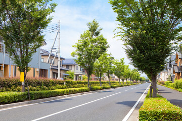 並木道と住宅