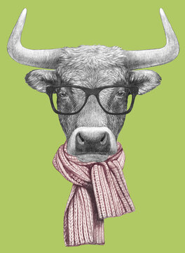 Portrait of Bull with glasses and scarf, hand-drawn illustration