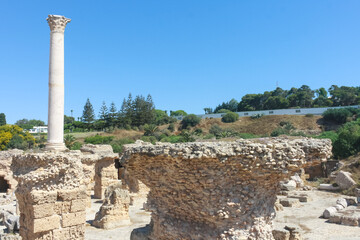 The ruins of the baths of Antonius Pius in Carthage