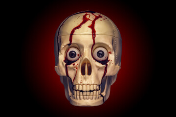 Spooky human skull in blood
