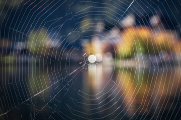 spider web in the morning overlooking autumn Hallstatt 
