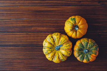 Colorful mini pumpkins on dark wooden background, top view.
