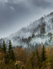 herfst mistige ochtend in het bergbos Šumava