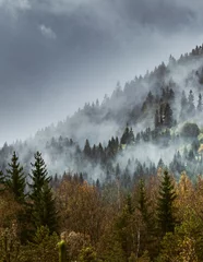 Papier Peint photo Lavable Forêt dans le brouillard matin brumeux d& 39 automne dans la forêt de montagne Šumava