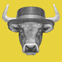 Portrait of Bull with a hat. Hand-drawn illustration. 