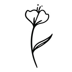 vector hand-drawn outline cartoon flower. stock single decorative Doodle element isolated on a white background. flower tattoo. tulip, poppy flower, sketch