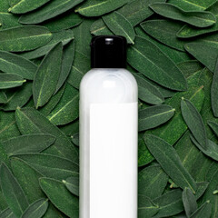 Cosmetics SPA branding mock-up. Natural Beauty organic product. Cosmetic container with cream, lotion on the texture of fresh green sage leaves top view. Blank label for branding. Medicinal plant