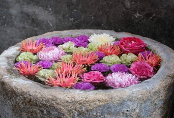 multicolored flowers floating in a bowl - 387191448