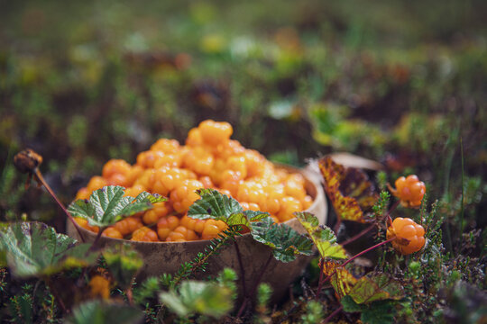 Cloudberries 