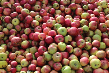 Mostäpfel