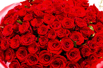 red roses in a huge beautiful bouquet for the holiday