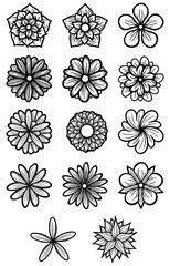 Hand Drawn Flowers Line Art Vector Illustration
