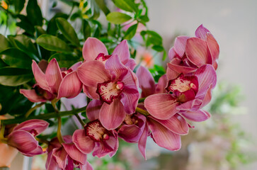 Fototapeta na wymiar beautiful bouquet with natural bright flowers