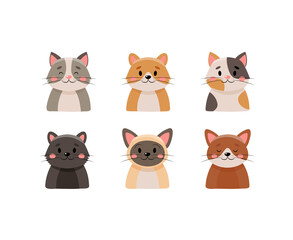 Cute cats collection, isolated on white background