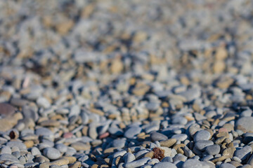 closeup marine pebbles on a sea coast, natural stone mackground