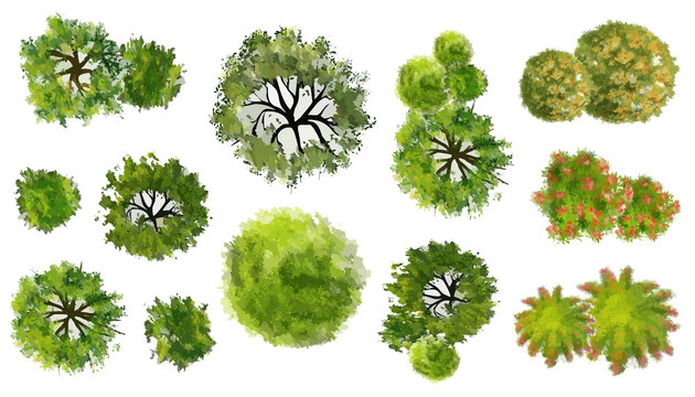 Collection of abstract watercolor green tree top view isolated on white background  for landscape plan and architecture layout drawing, elements for environment and garden.  