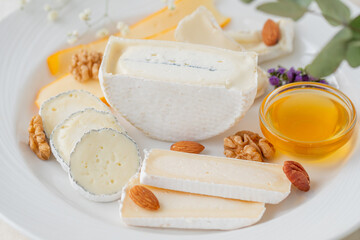 Various types of cheese with nuts and honey in a white plate on a light table decorated with a branch of eucalyptus. Restaurant