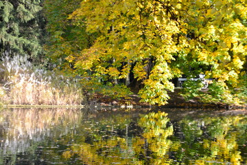 jesień w parku