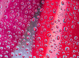 Beautiful reflection of water droplets