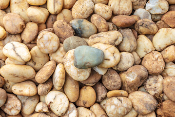 Fototapeta na wymiar Beautiful fine pebbles natural background images