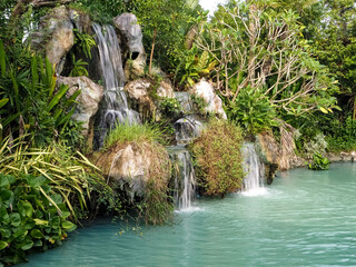A waterfall in a stream in a fertile rainforest