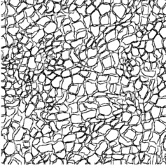 crocodile skin pattern. Seamless pattern of crocodile leather
