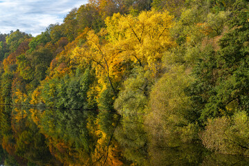 Farbenfroher Herbstwald in Wasserspiegelung am Flussufer