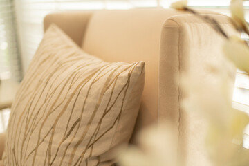 soft cozy pillows on modern sofa background home design concept