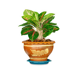 Beautiful bouquet of bright flowers isolated on white