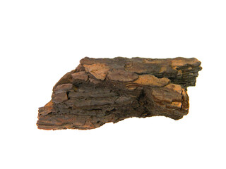 tree bark isolated on white background