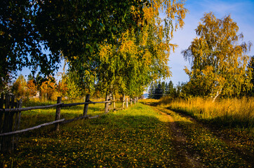 autumn landscape with trees