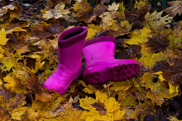 Pink boots in autumn leaves. Colorful leaves. Autumn season.