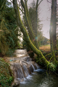 Ruisseau dans le parc Balland &agrave; Meillonnas, France